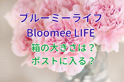 ブルーミーライフ箱のサイズは ポストに入る Bloomee Life ももさくライフ